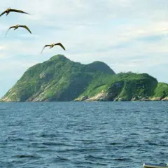 Zielona wyspa węży majaczy na horyzoncie, otoczona błękitem oceanu. Nad nią szybują ptaki, jakby strzegły tajemnic tego miejsca.