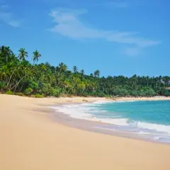 Rajskie Sri Lanki plaże z palmami i turkusową wodą. Idealne miejsce na relaks.
