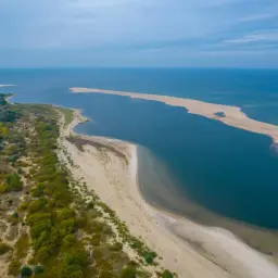 Piaszczysta wyspa na Bałtyku, otoczona wodą i zielenią, tworzy malowniczy krajobraz.