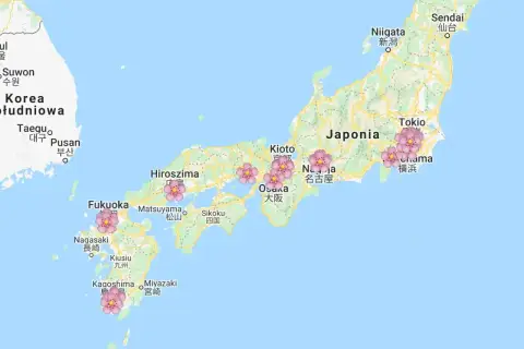 Mapa Japonii z zaznaczonymi miastami i kwiatami wiśni. Widoczne wyspy Japonii, w tym Honsiu, Kiusiu i Sikoku.