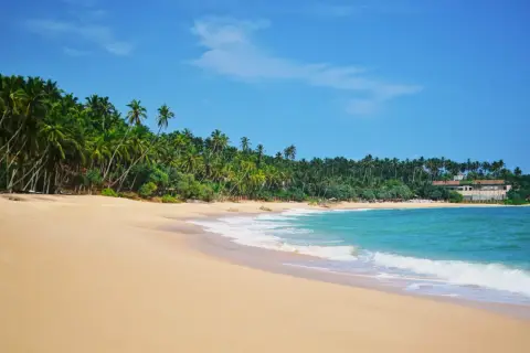 Rajskie Sri Lanki plaże z palmami i turkusową wodą. Idealne miejsce na relaks.