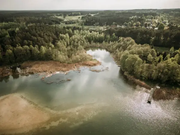 Malownicze jezioro Świętajno otoczone lasami i trzcinami. Widoczny drewniany pomost i piaszczyste dno.